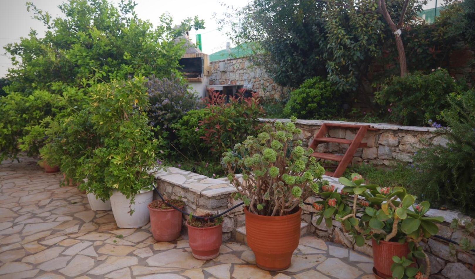 Diakofti Athena Kythera מראה חיצוני תמונה